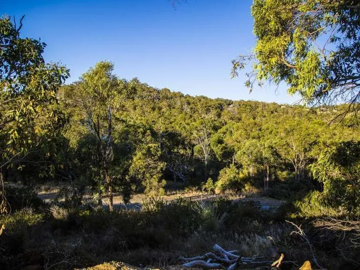 Be Quick Before the Builders Grant Ends