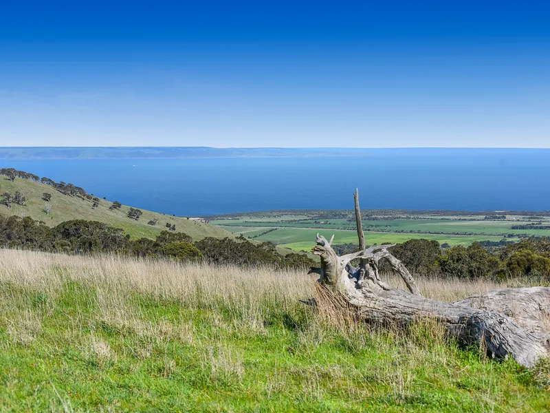 REALLY -  GET AWAY FROM IT ALL