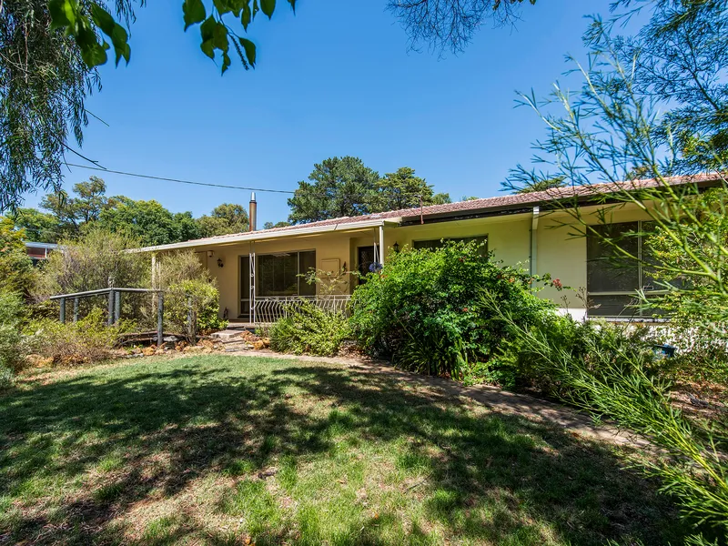 Hope You Like Surprises