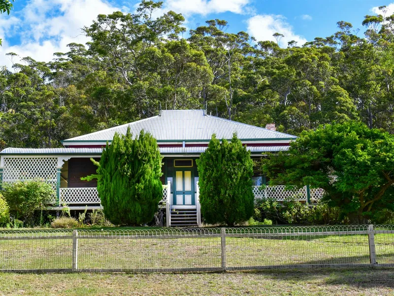 WYNELLA - A look back in time, with an eye to the future