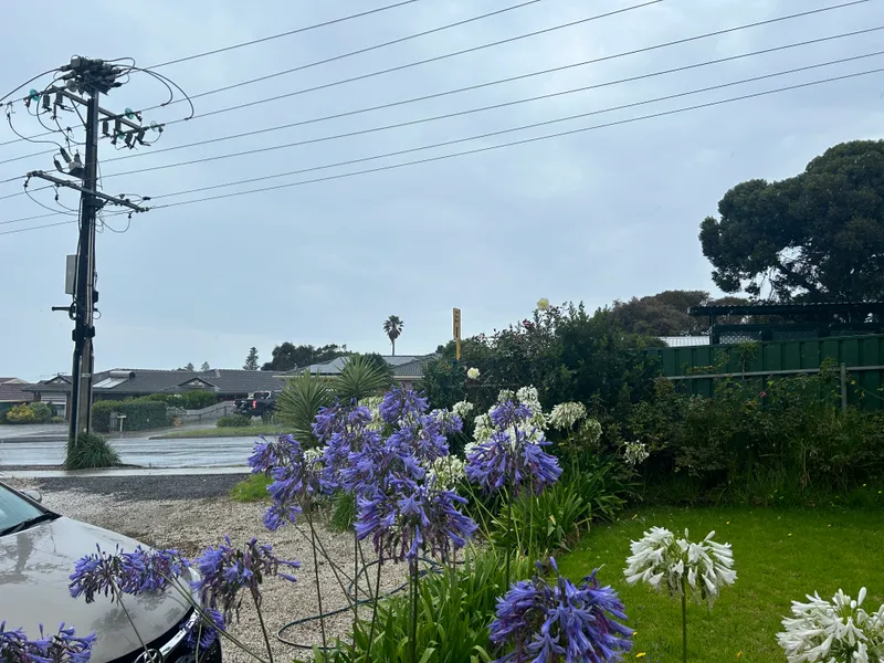 TO RENT, 4 Bedroom, 2-bathroom, family residence, - available soon!