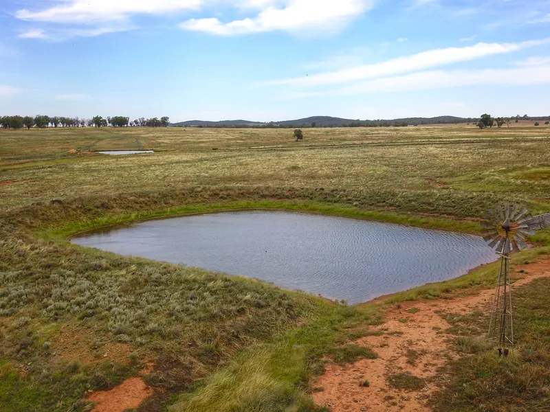 Ray White Condobolin