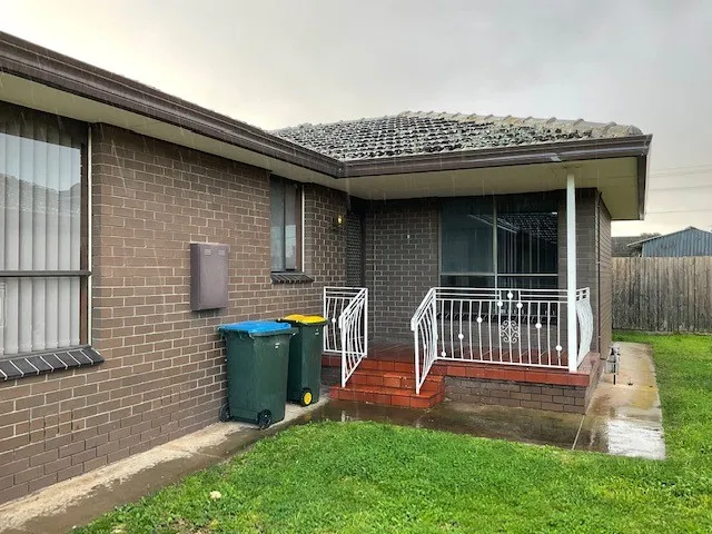 What's Your Flavour?