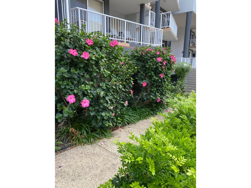 GREAT investment property and an amazing location