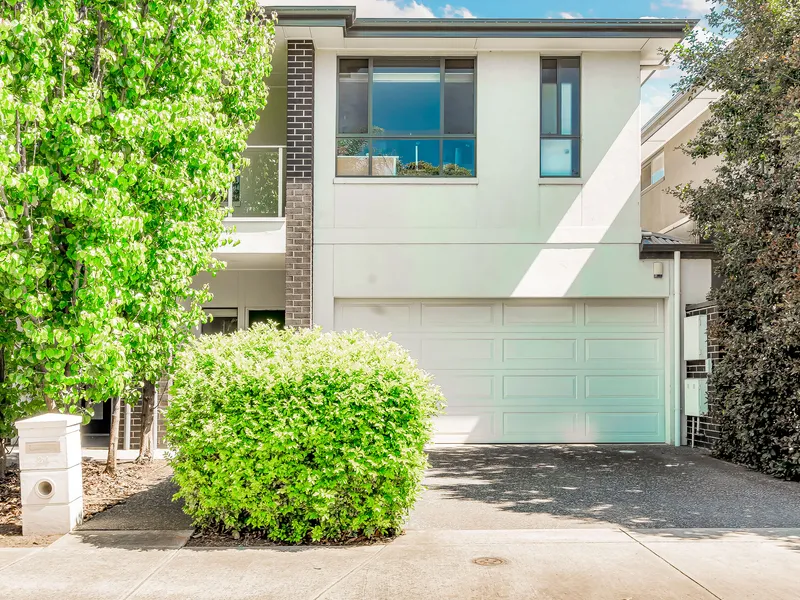 Executive City Fringe Living