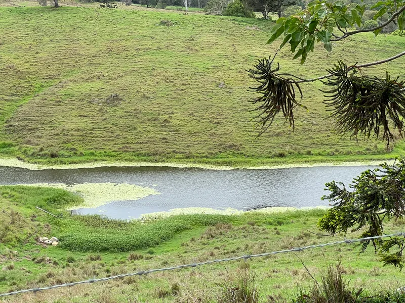Rare Beauty Available now in Cedar Pocket - 15 mins from Gympie