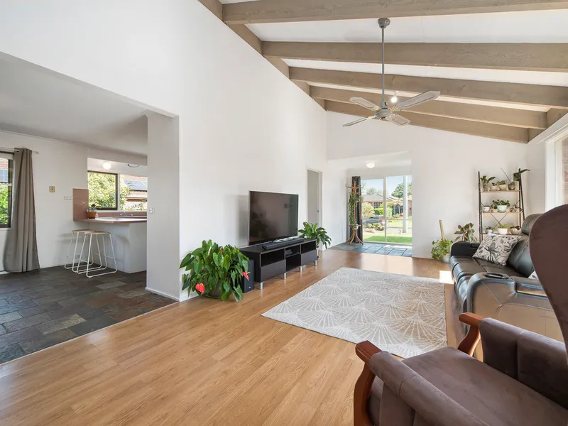 So much on offer....