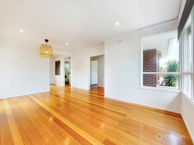 Bright & Low Maintenance