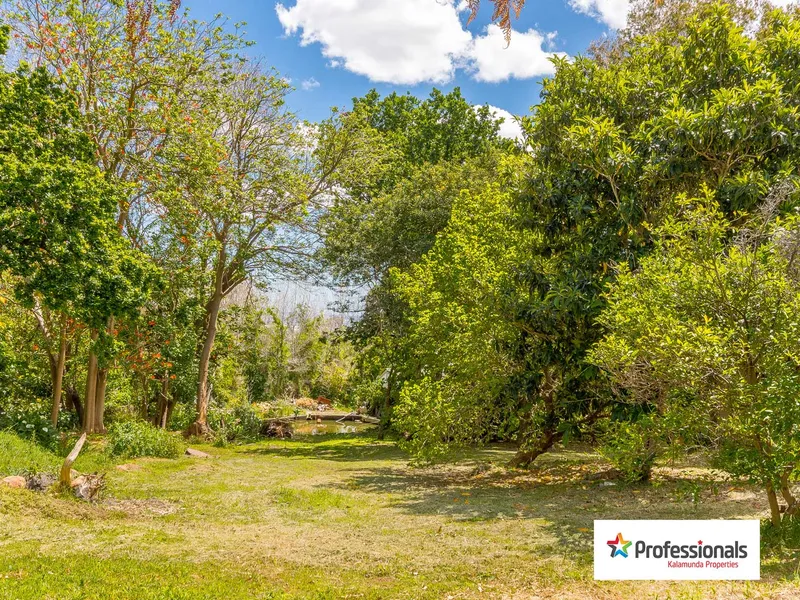 DREAM BLOCK - BOTANIC WONDERLAND