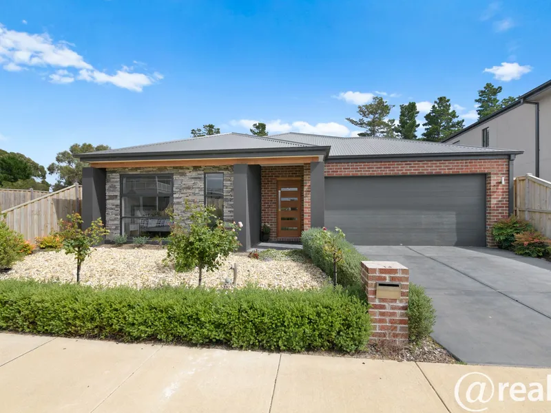 Position Perfect – Modern Radiance and Stand- Alone Quality