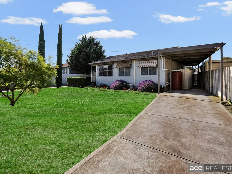 A Perfect Starter!!!