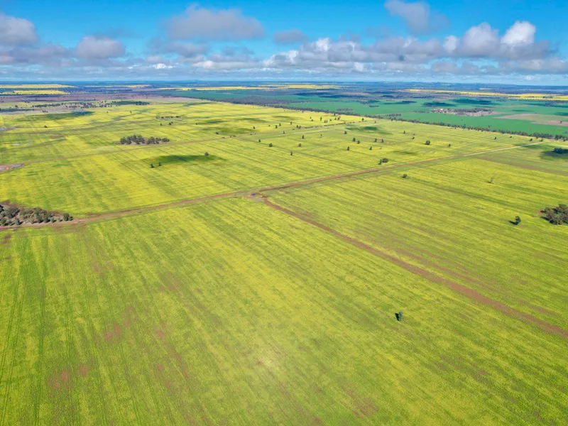 'Ascot' Aggregation offered as a whole or three separate parcels