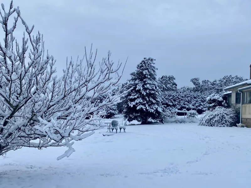 Stunning and productive 35.5 Acres with incredibly unique elevated forest walk, just 2.5 hours to Sydney airport and a convenient 8 minutes to town