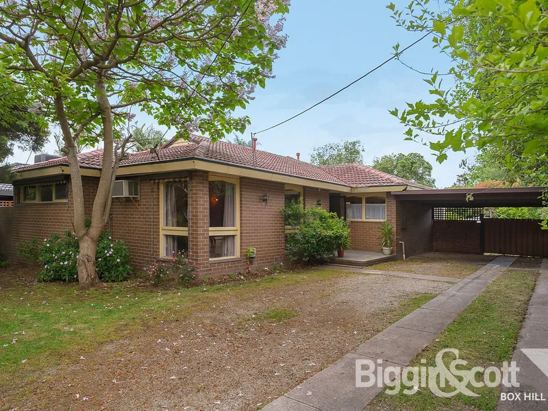 Executive Living in the Heart of Everything!