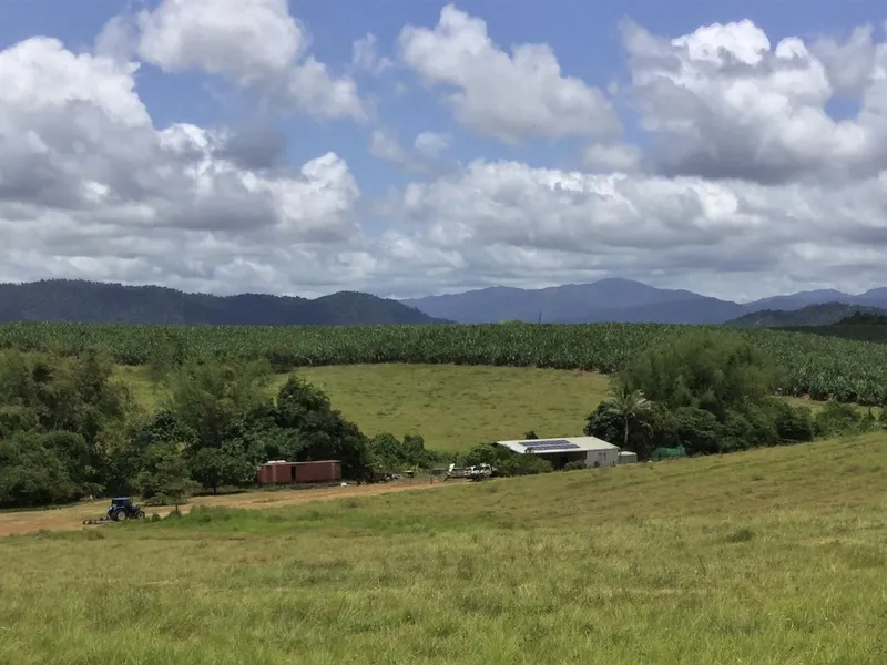 Farming Land