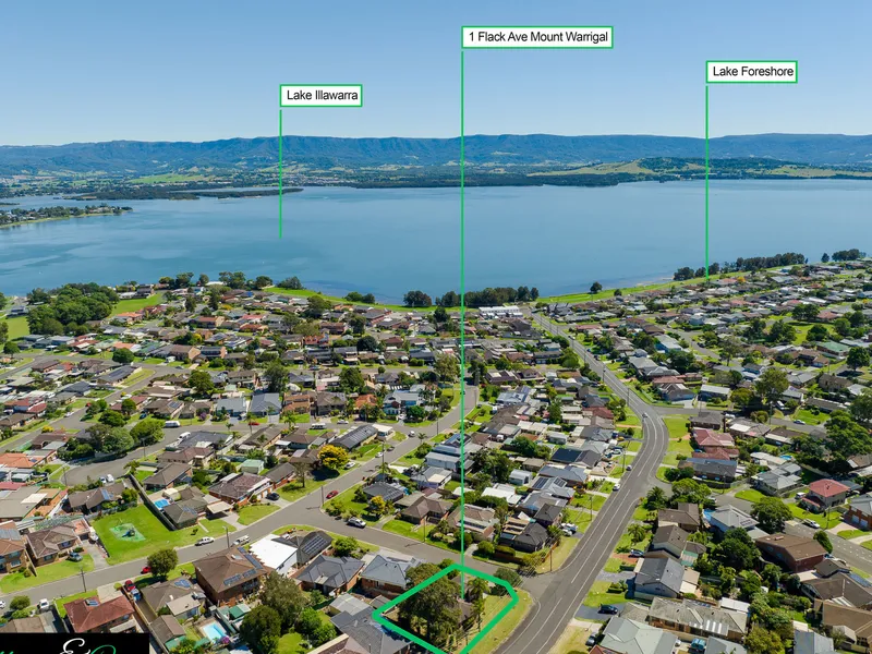 Packed With Potential