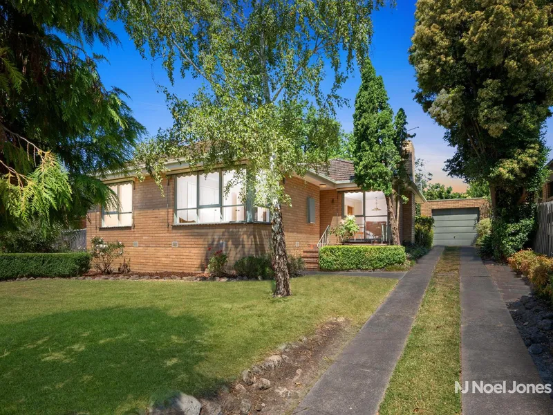 Irrefutable Appeal And Potential