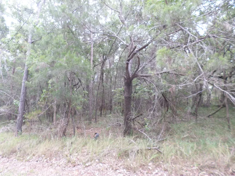 Vacant Land on Naturally Wonderful Lamb Island Part of the Redlands Coast Southern Islands