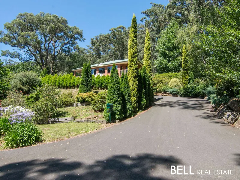 Craftsman Built on Over an Acre with Space for Big and Multi-Generational Families