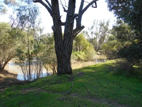 RENO ON ALMOST 2 HECTARES