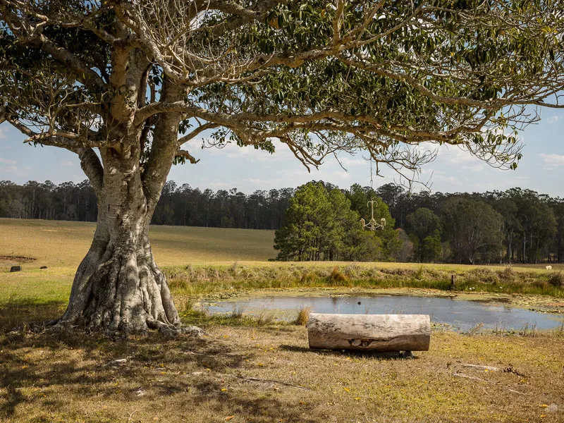 Clarence Valley Heartland