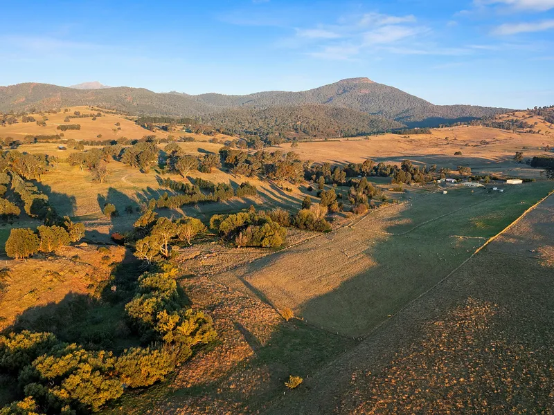 41 ACRES ON TIMBERTOP CREEK