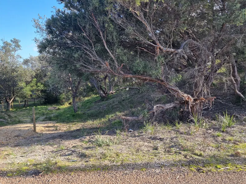 Sunshine, Shade, and Surf!
