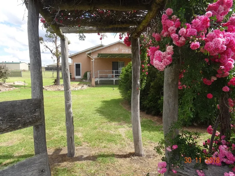 Unique building allotment