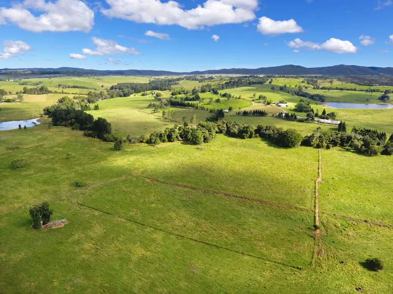 LUSH GREEN GRAZING