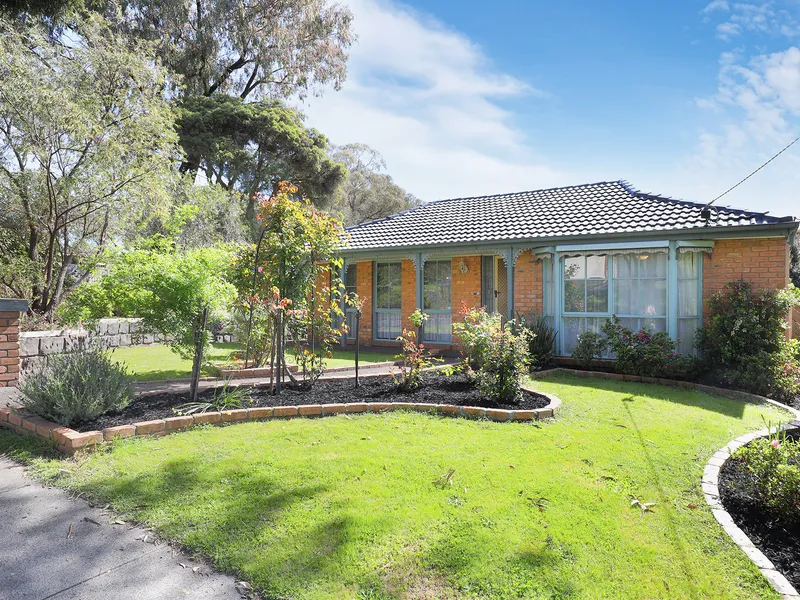 Immaculate Family Home