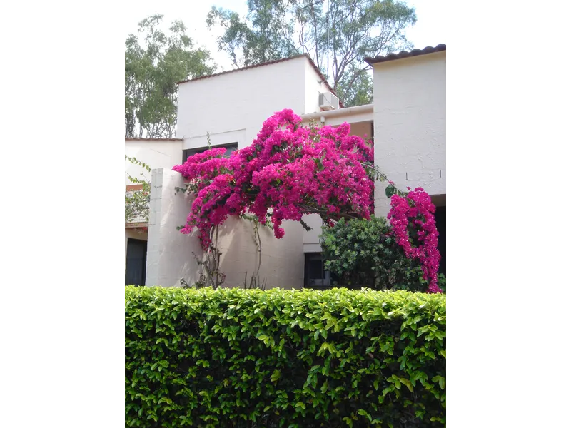 Just over an Hour or so From the Coast or Brisbane!