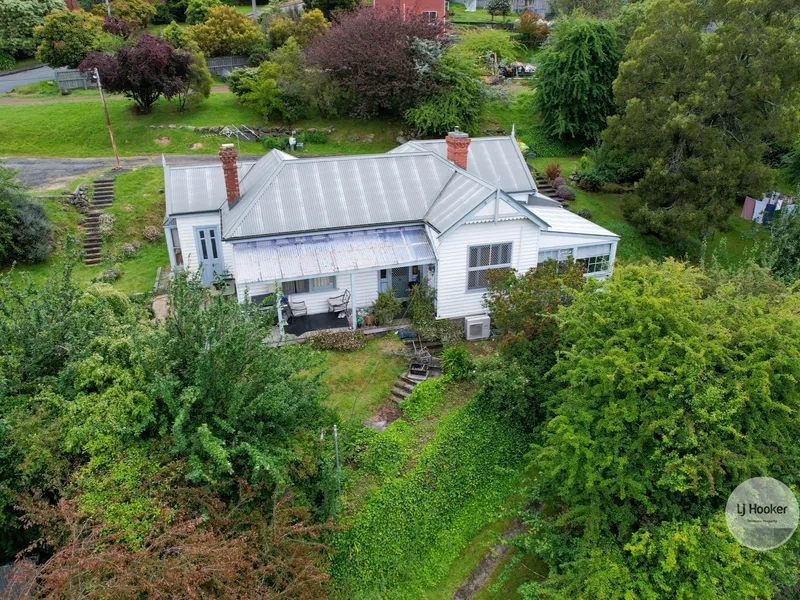 Leafy Classic - 1910 Federation Home