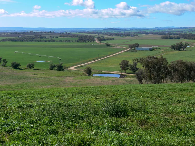 Kalang Home Of The Canowindra Fish Fossils