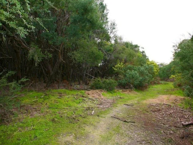 Over 3.5 Acres, Overlooking the Inlet