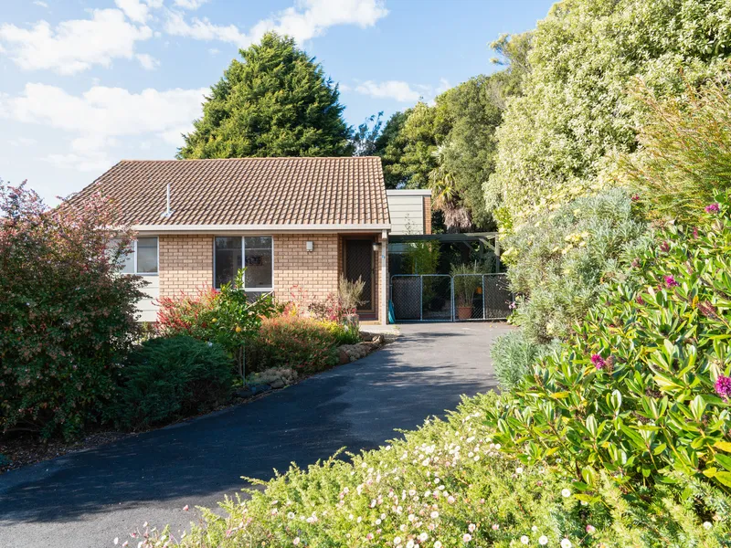 Sunny and Surprisingly Spacious with Views