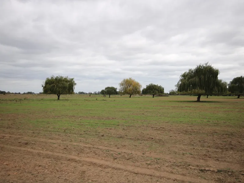 QUALITY SOIL TYPES - 137 ACRES