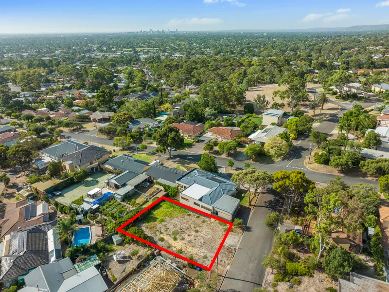 Premium piece of Panorama