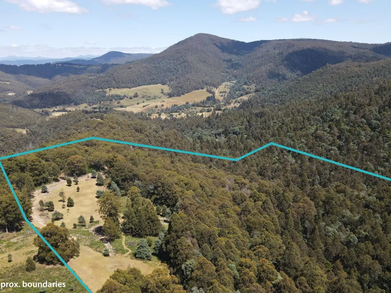 50 Acres with Cascading Stream