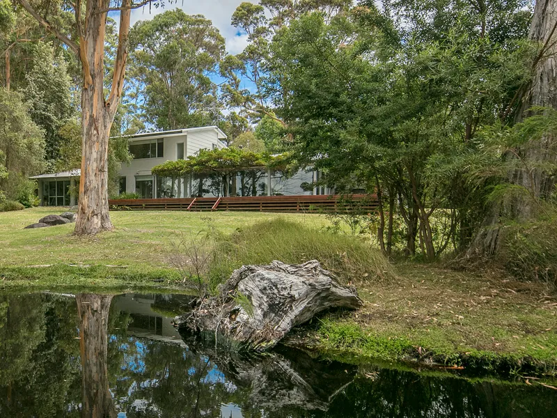 Absolute Foreshore Luxury is 