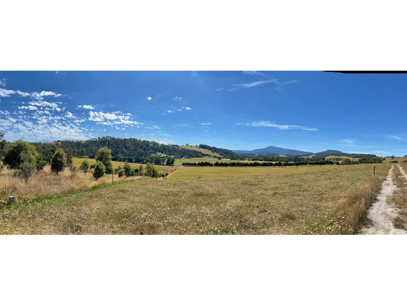 TASSIE RURAL OPPORTUNITY   198 Bangor Road, Karoola                                                 OFFERS OVER $340,000