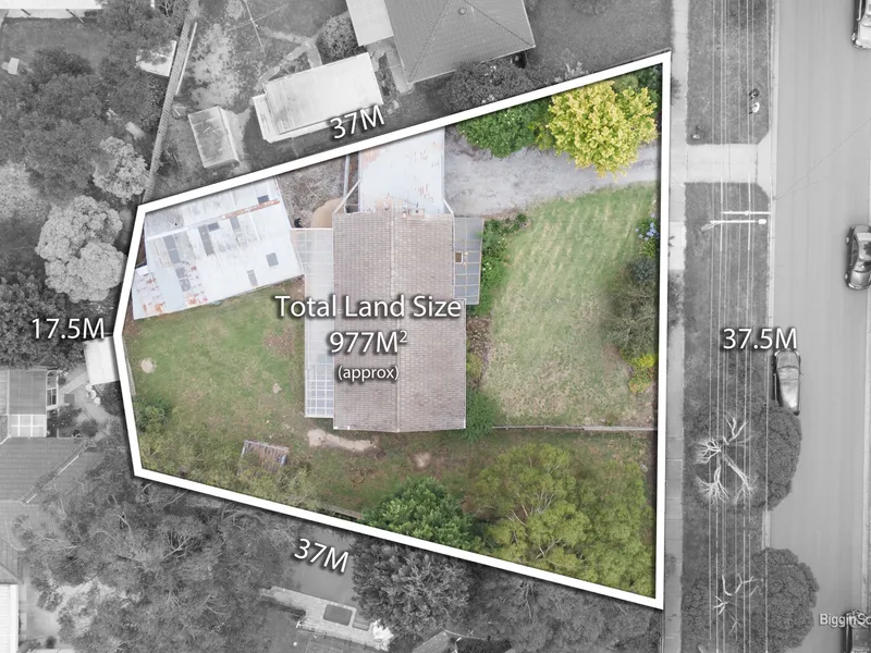 A Rare Gem of Endless Opportunity!!