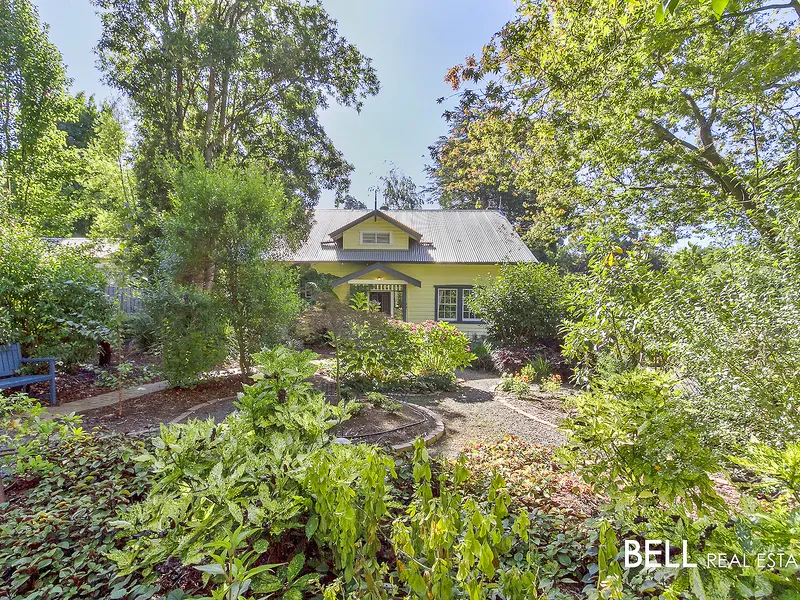 Love Where You Live!