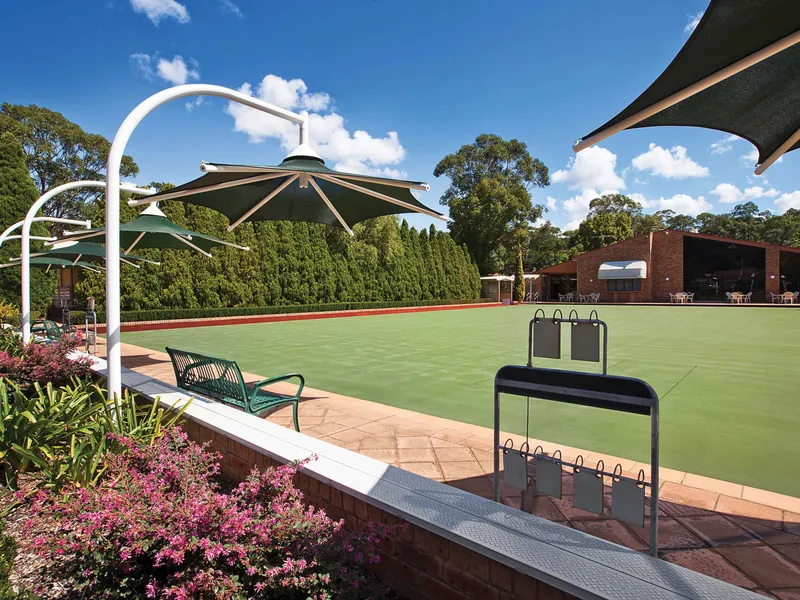 Up in the tree tops!