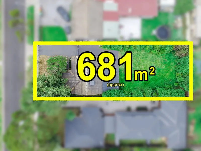 A VIEW TO THE FUTURE