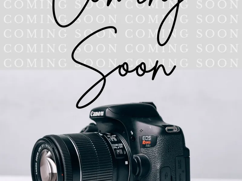 7 Kingham Pl, Seville Grove - Under Renovation