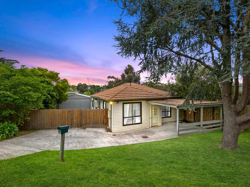 Brilliant Start-up Or Investment Opportunity With Potential For The Future