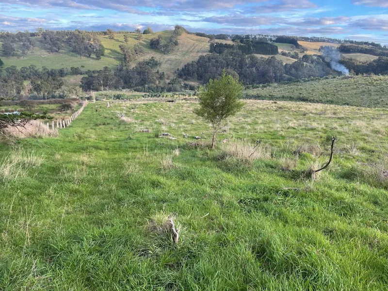 Exceptional Value 153 Acres Carrajung
