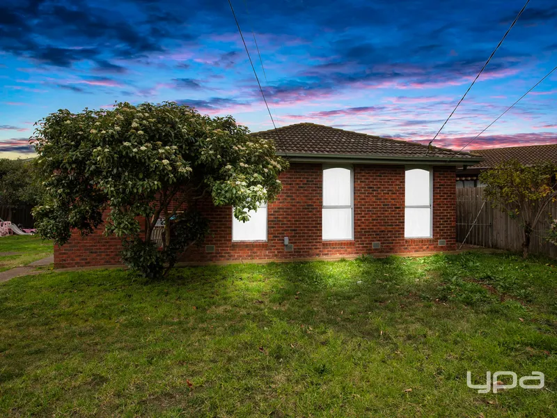 Family Friendly Surrounds