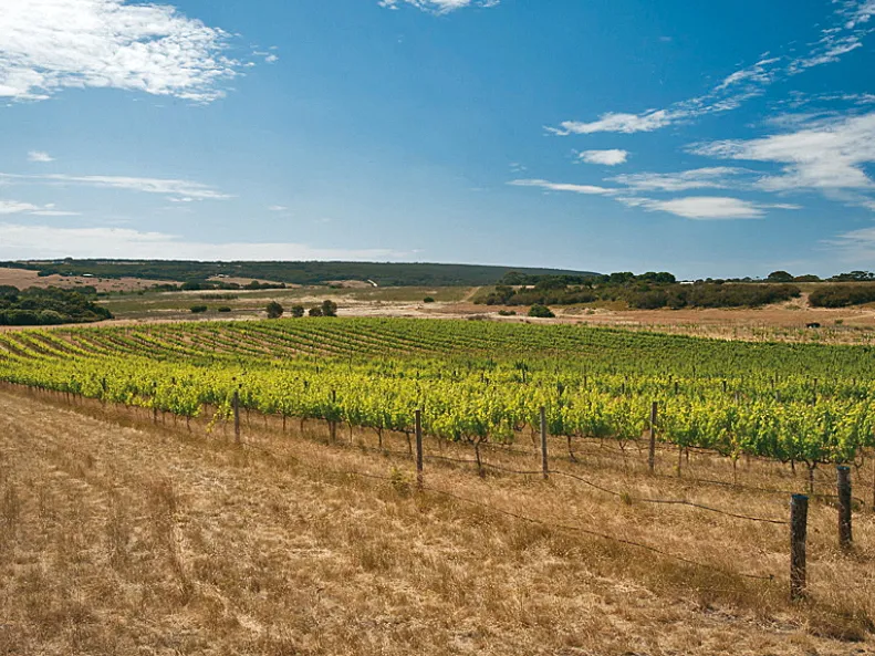 LOT 21 CAPE WILLOUGHBY