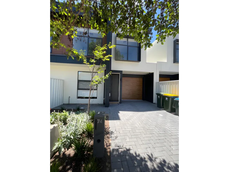 Designer Low Maintenance Central Living